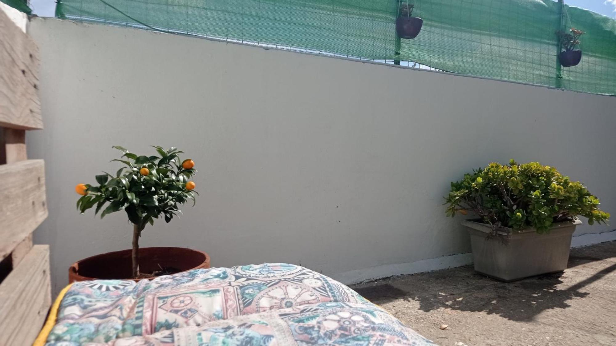 Apartamento Casa Dalila Belvedere  Exterior foto