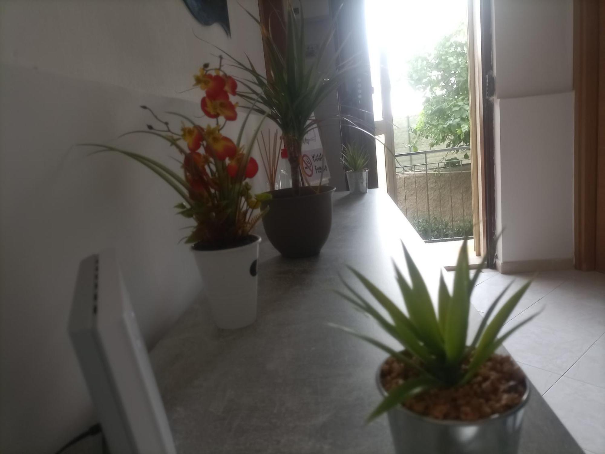 Apartamento Casa Dalila Belvedere  Exterior foto